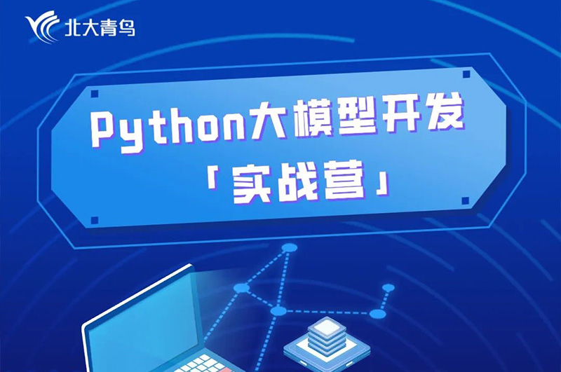 python大模型开发